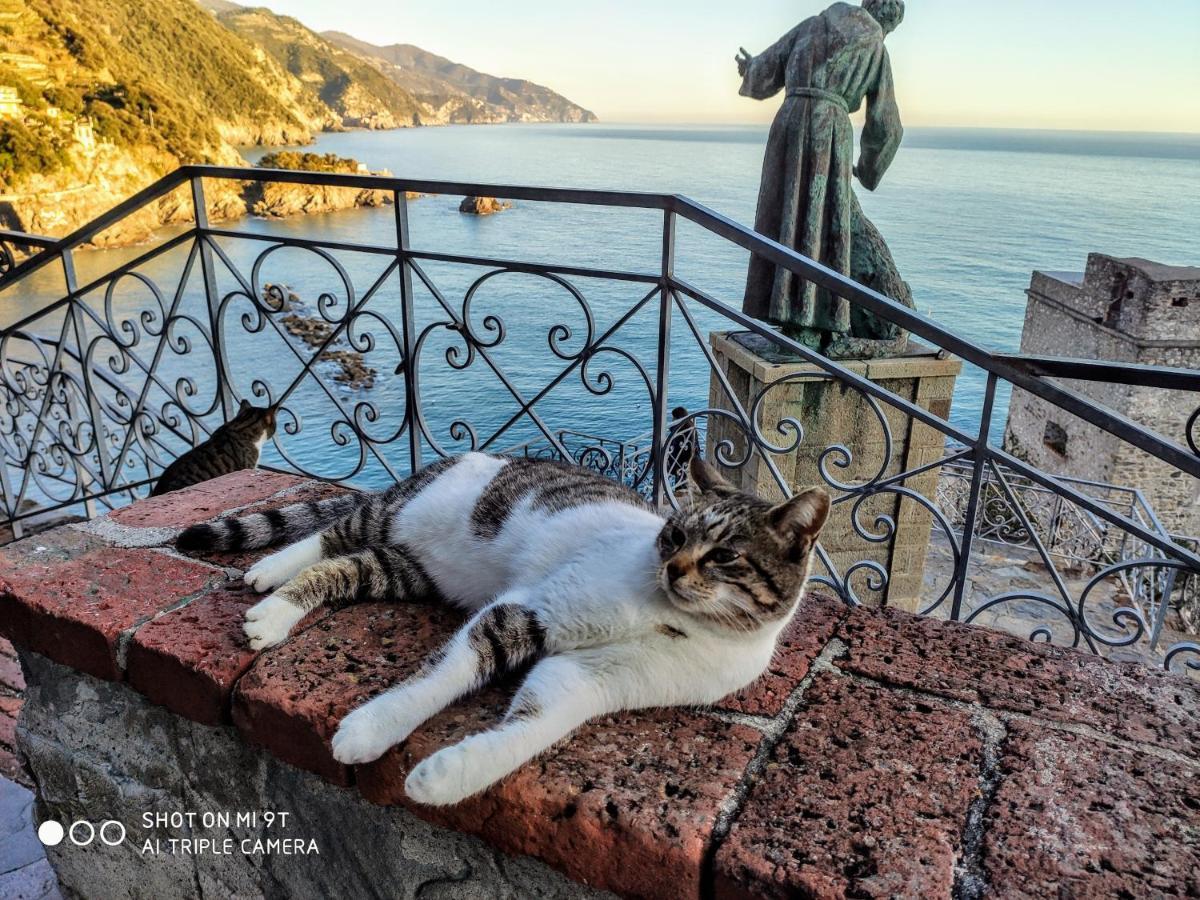 Via Verdi 5, Gli Affreschi Monterosso al Mare Exterior foto